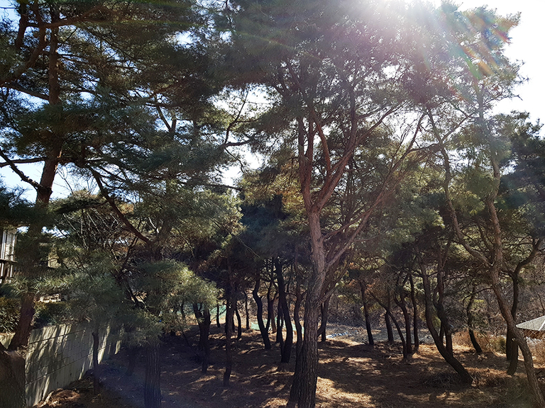 전원주택지보기