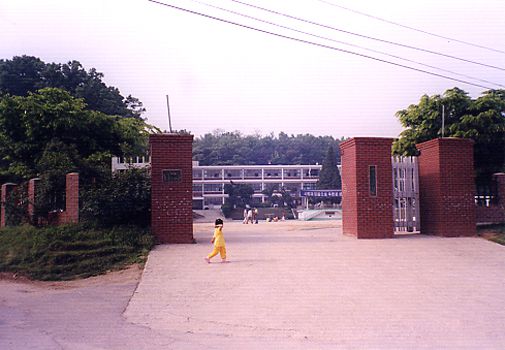 강상초등학교